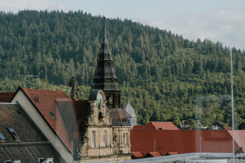 Blick auf die Freiburger Dächer